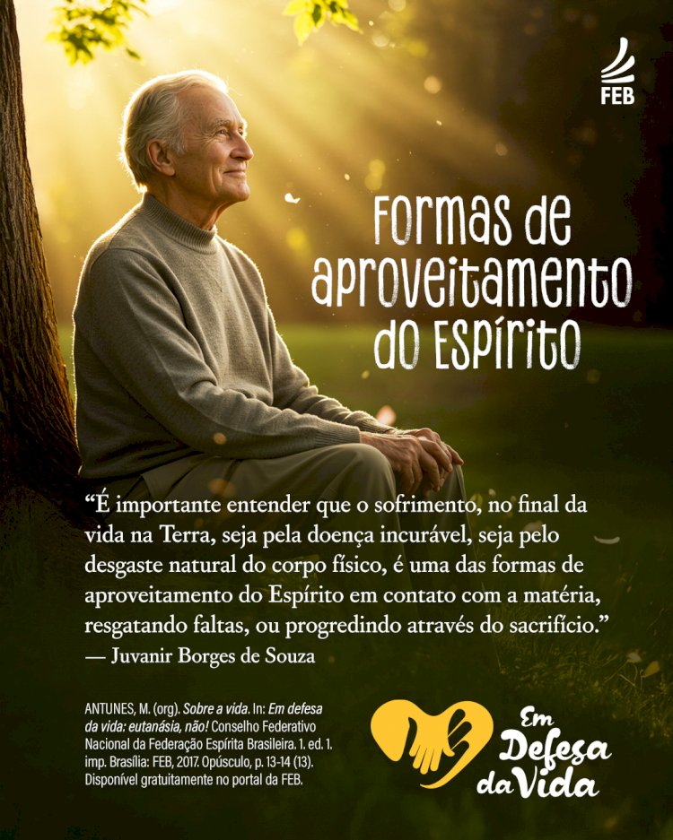 Em defesa da vida, rumo à paz | Formas de aproveitamento do Espírito